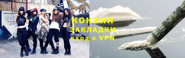 дмт Снежногорск
