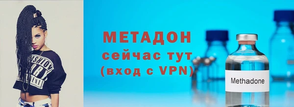прущие грибы Волоколамск