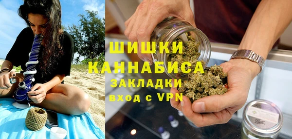 прущие грибы Волоколамск