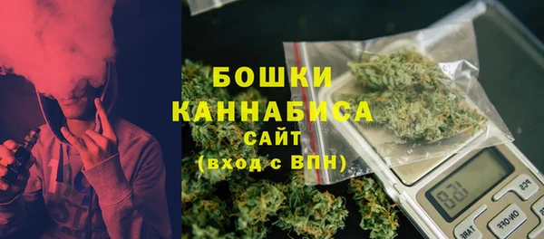 прущие грибы Волоколамск