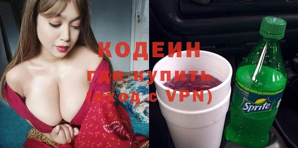 прущие грибы Волоколамск